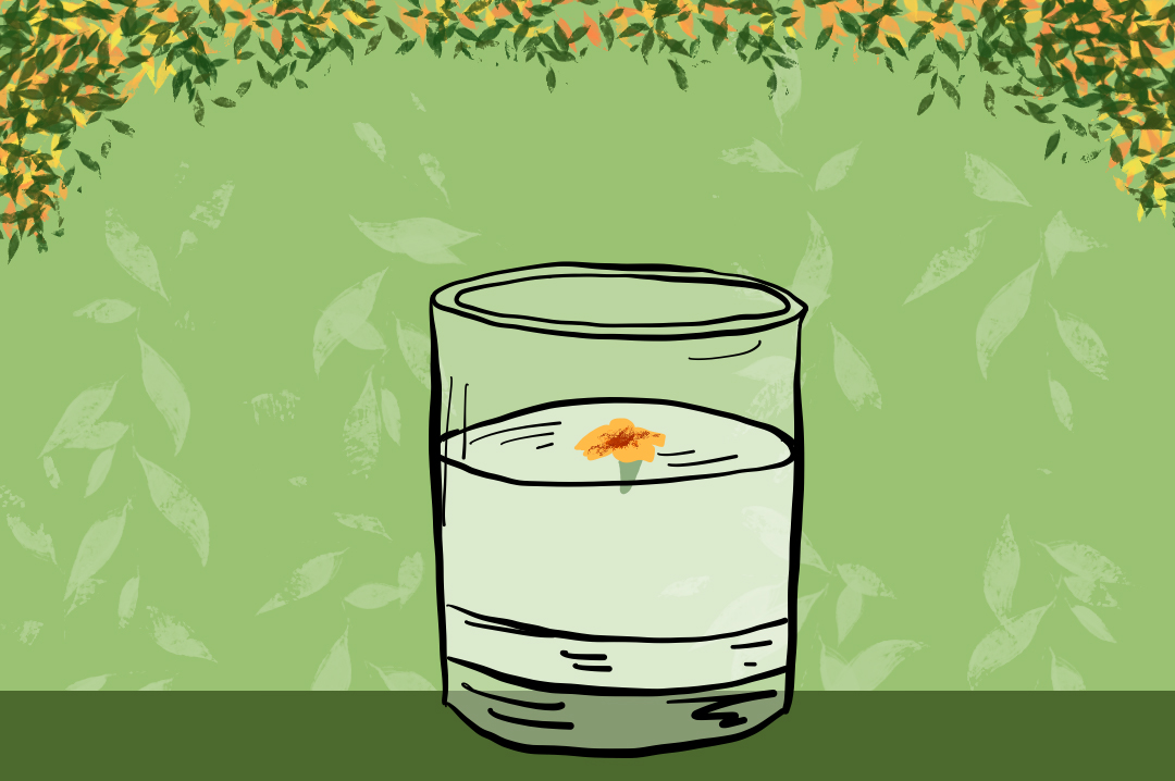 white_summer_sazerac