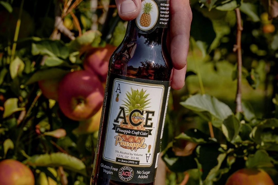 Ace Pineapple Cider