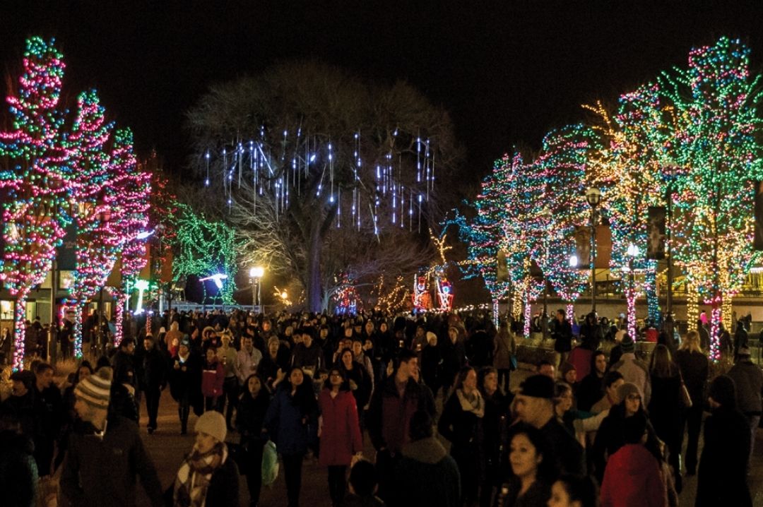 Zoo Year’s Eve